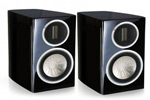 Акустическая система Monitor Audio GX 100