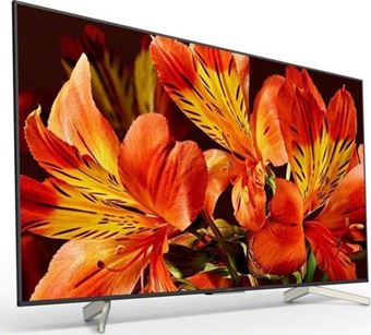 Телевизор Sony KD-49XF8596