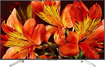 Телевизор Sony KD-75XF8596
