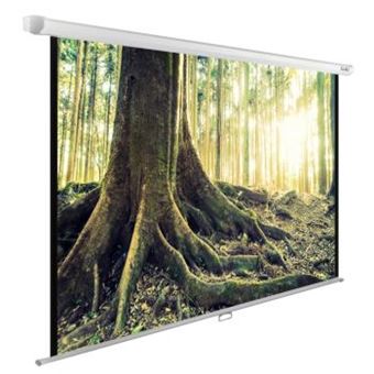 Экран для проектора Cactus 220x220см WallExpert CS-PSWE-220x220-WT