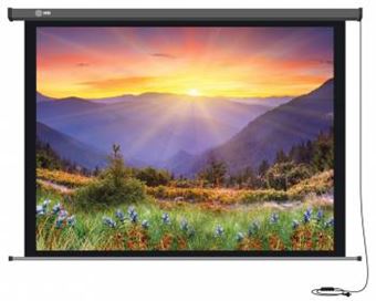 Экран для проектора Cactus 149x265см Professional Motoscreen CS-PSPM-149X265