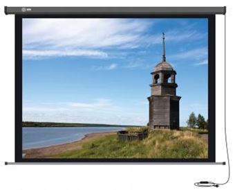 Экран для проектора Cactus 152x203см Professional Motoscreen CS-PSPM-152X203