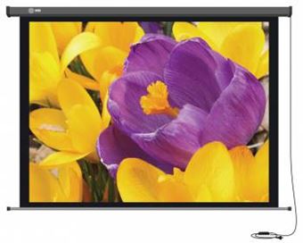 Экран для проектора Cactus 168x299см Professional Motoscreen CS-PSPM-168X299
