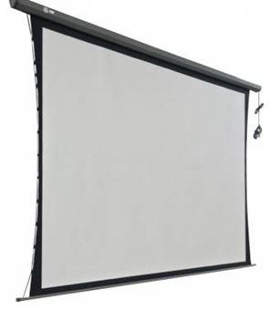 Экран для проектора Cactus 168x299см Professional Tension Motoscreen CS-PSPMT-168X299