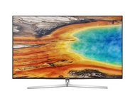 Телевизор Samsung UE49MU8000U