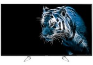 Телевизор Panasonic TX-49EXR600