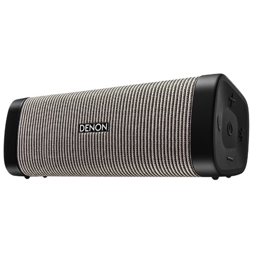 Акустическая система Denon Envaya DSB-250BT/gray