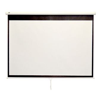 Экран для проектора Classic Norma (4:3) 210x165 (W 203x152/3 MW-S0/W)